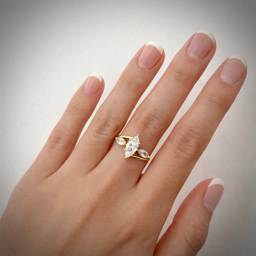 Anillo Amiel